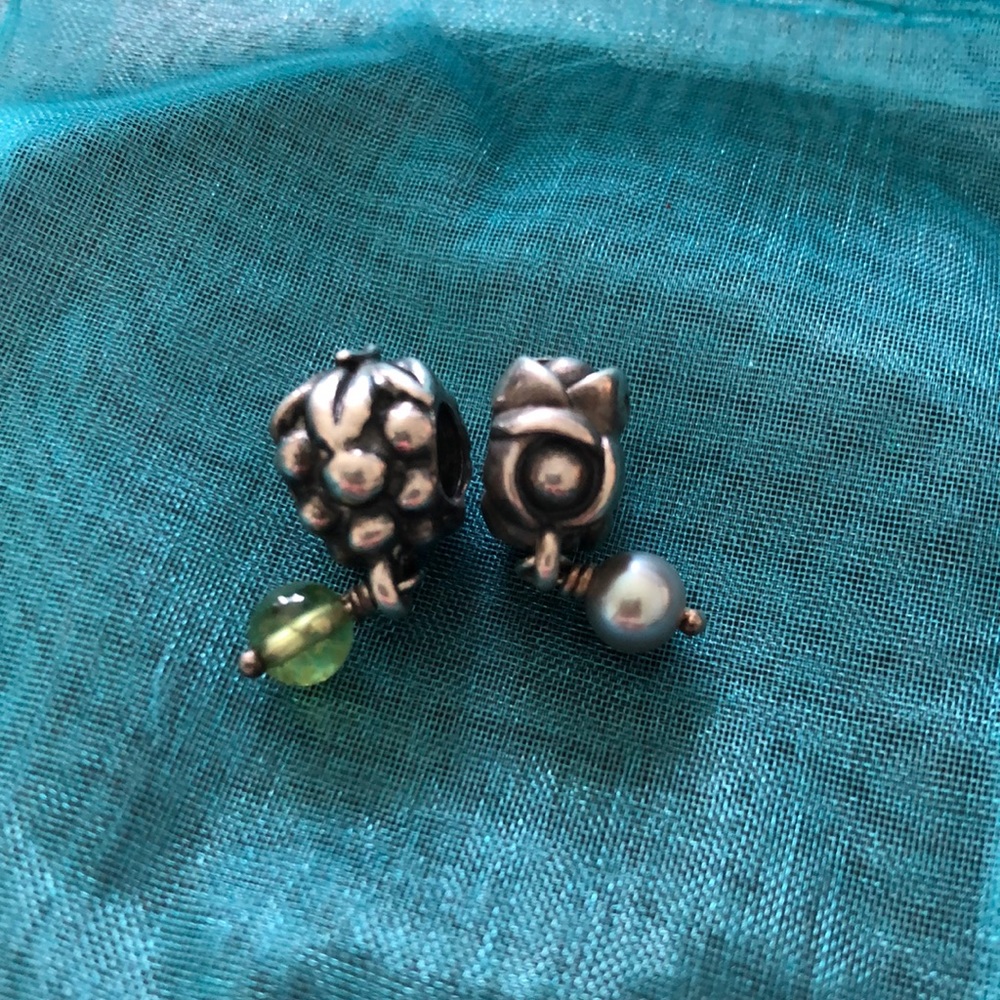 Pandora Charms